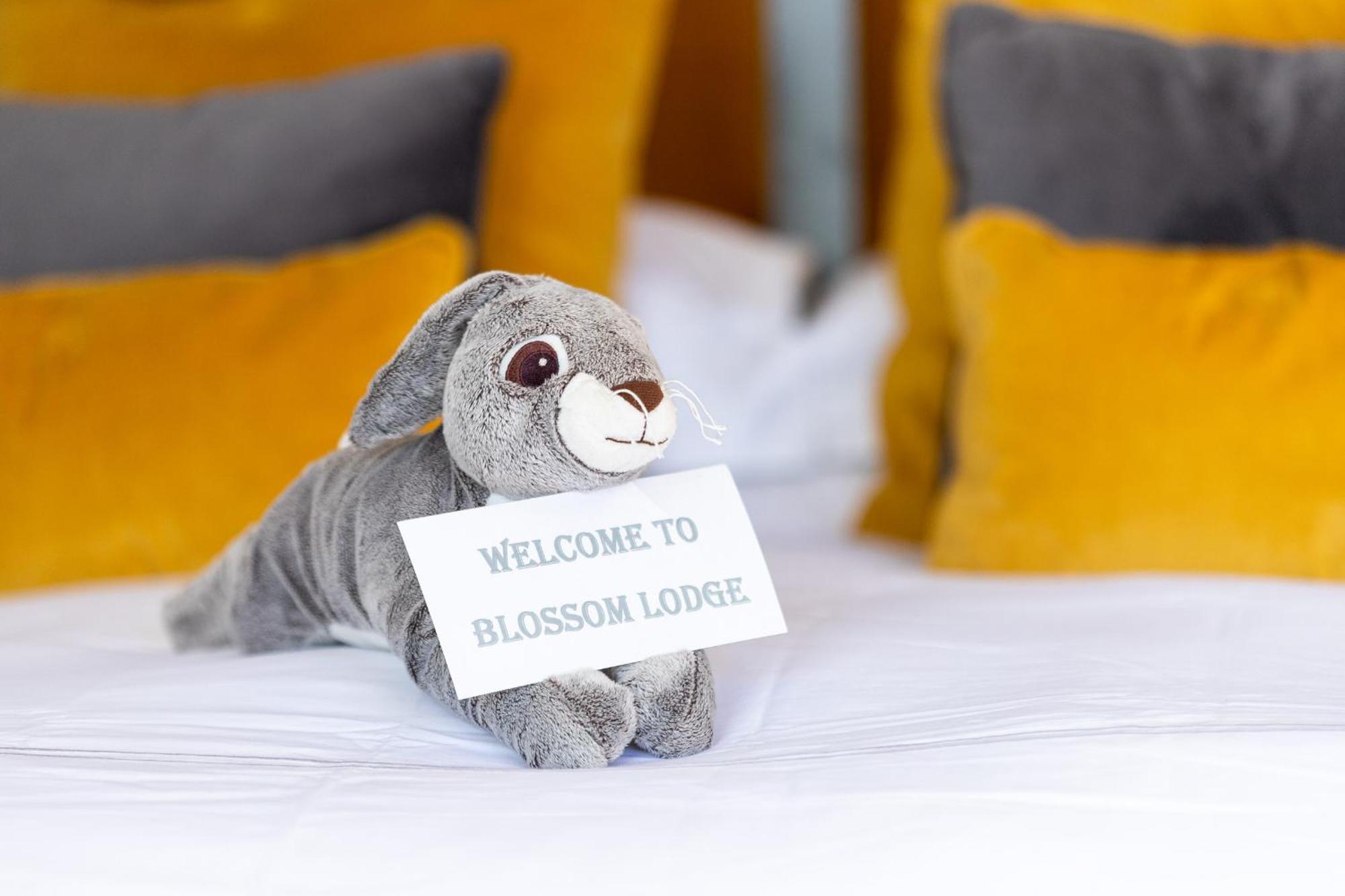 The Loft, Apple Lodge & Blossom Lodge Macroom Esterno foto